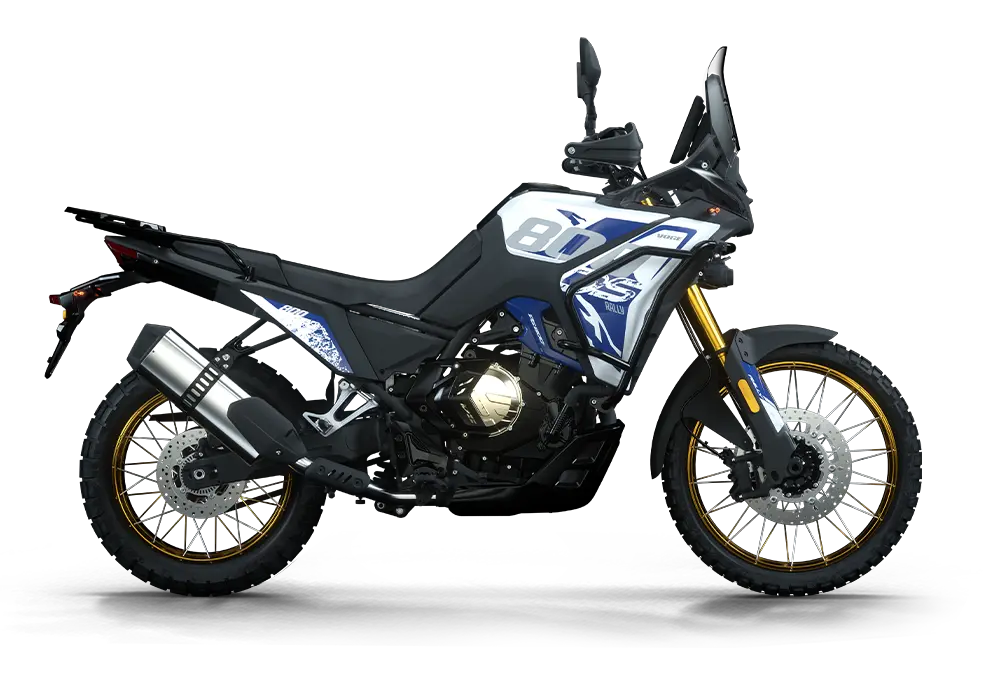 DS800 Rally